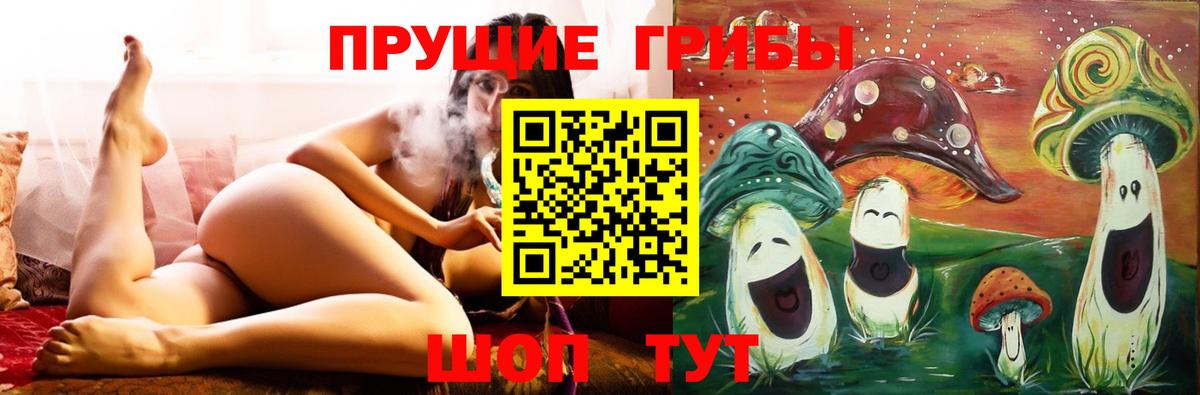 Кунгур  Галлюциногенные грибы Psilocybine cubensis  Вход с VPN 